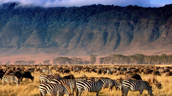 5 Days Tanzania Migration and Big 5 Safaris